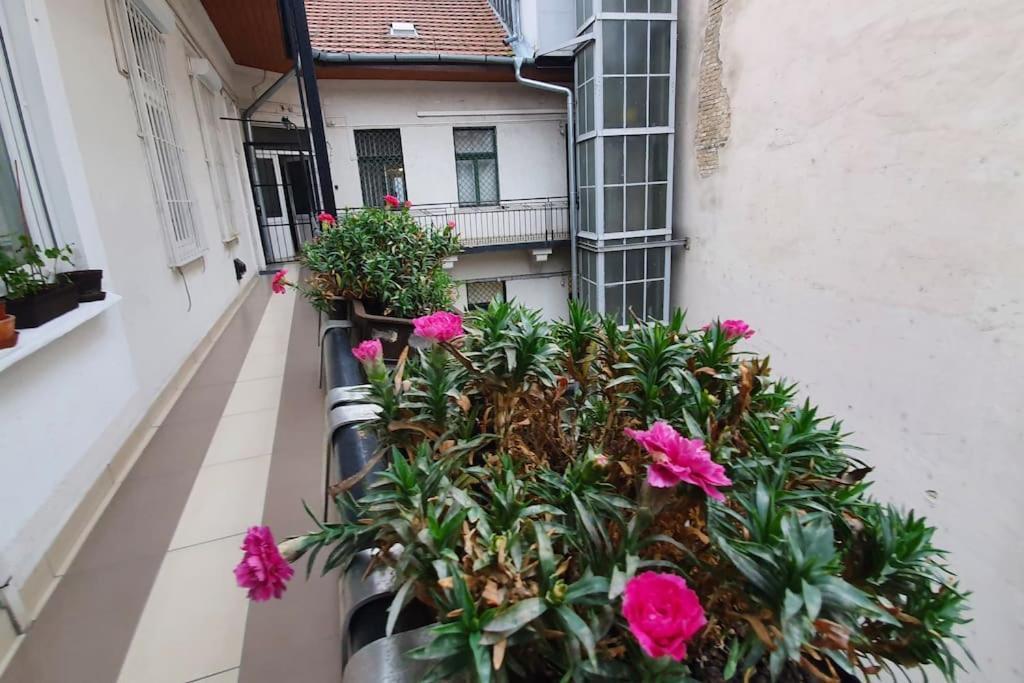 Violet Apartment With Air Condition Budapest Kültér fotó